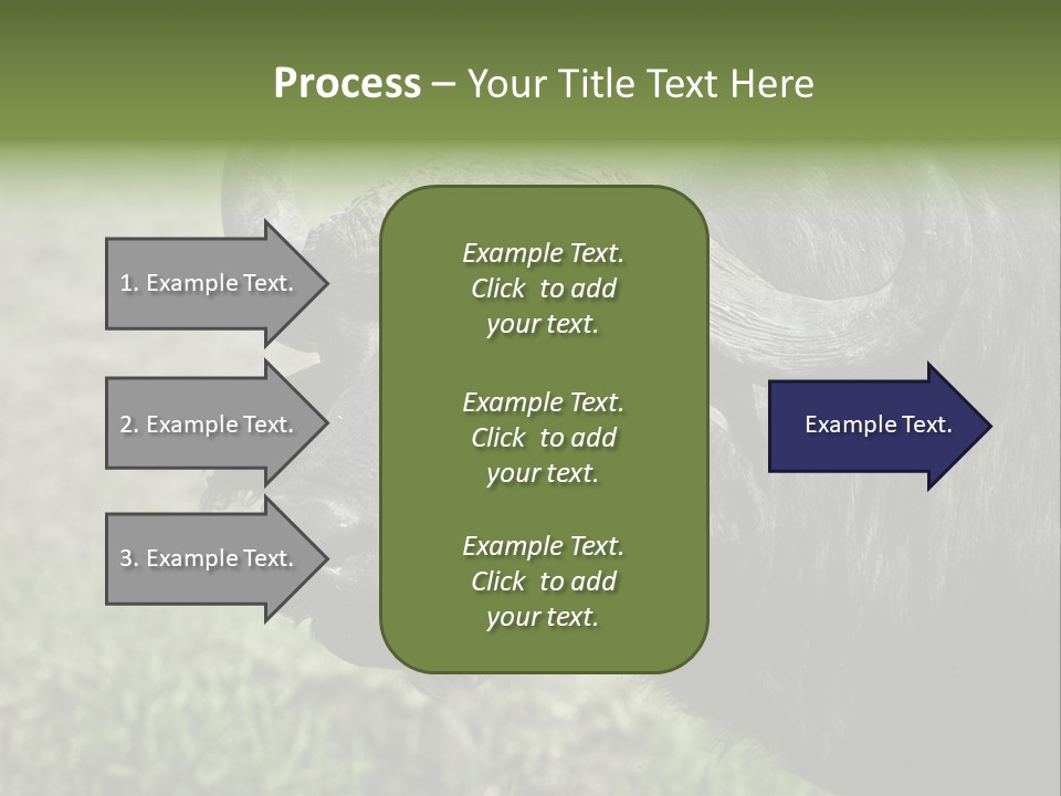 Kenya Selvaggi PowerPoint Template