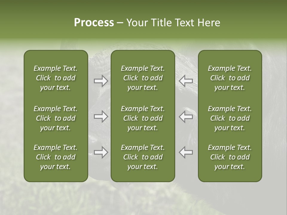 Kenya Selvaggi PowerPoint Template