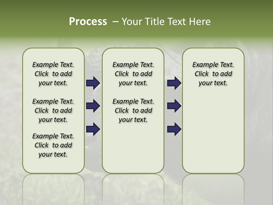 Kenya Selvaggi PowerPoint Template