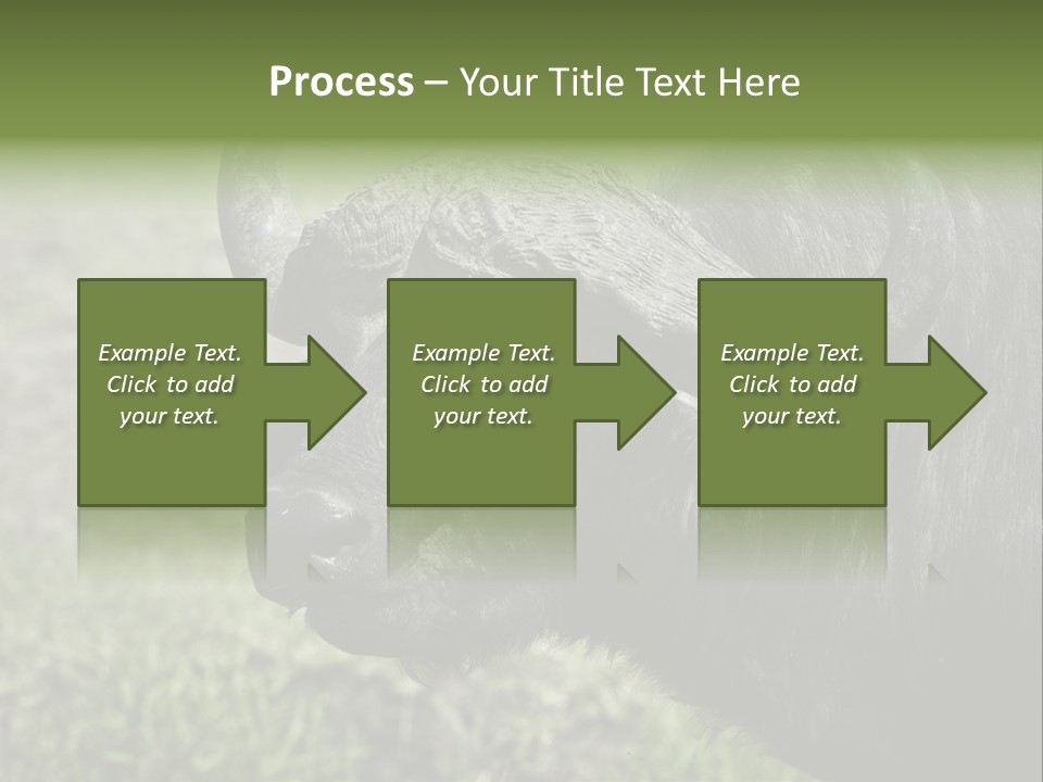 Kenya Selvaggi PowerPoint Template