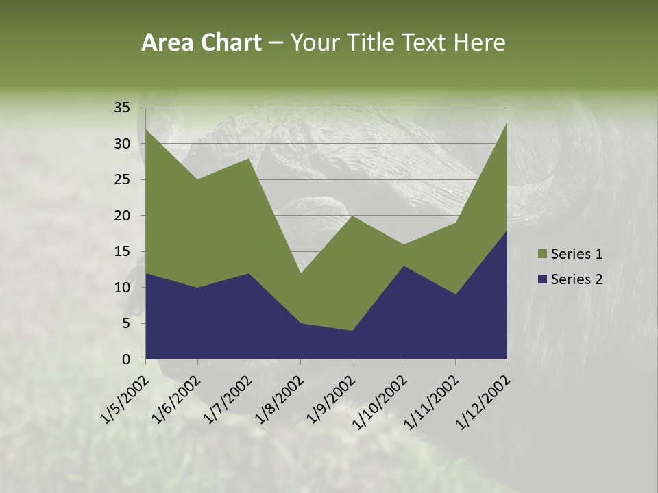 Kenya Selvaggi PowerPoint Template