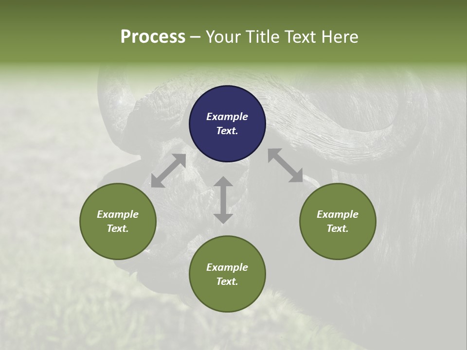 Kenya Selvaggi PowerPoint Template