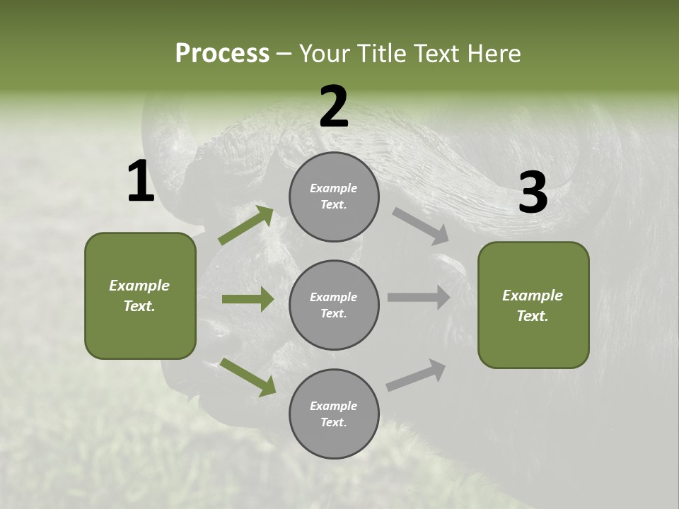 Kenya Selvaggi PowerPoint Template