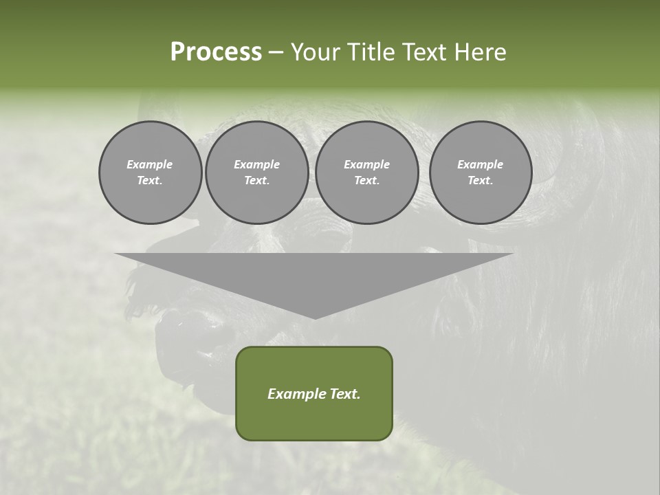 Kenya Selvaggi PowerPoint Template