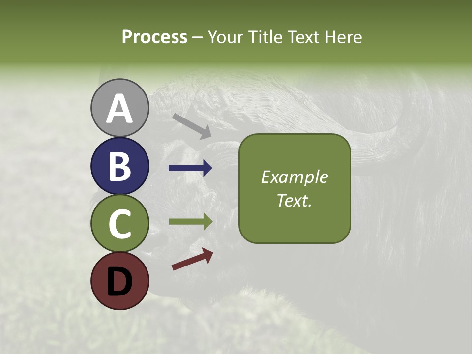 Kenya Selvaggi PowerPoint Template