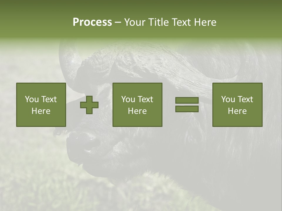 Kenya Selvaggi PowerPoint Template