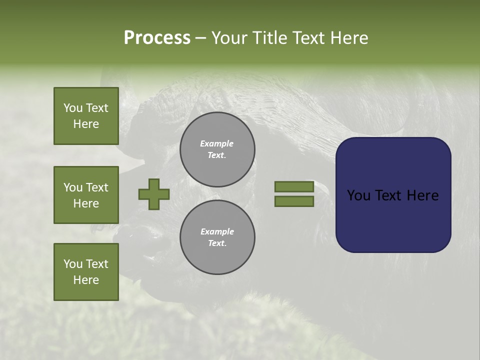 Kenya Selvaggi PowerPoint Template