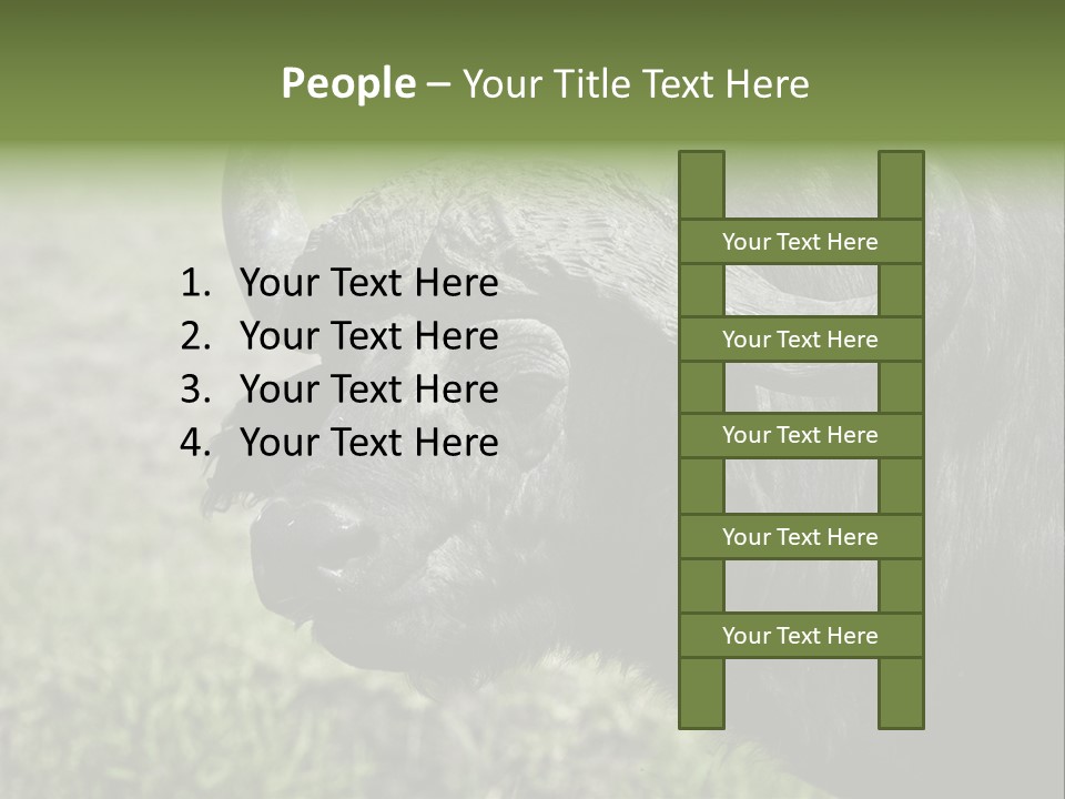 Kenya Selvaggi PowerPoint Template