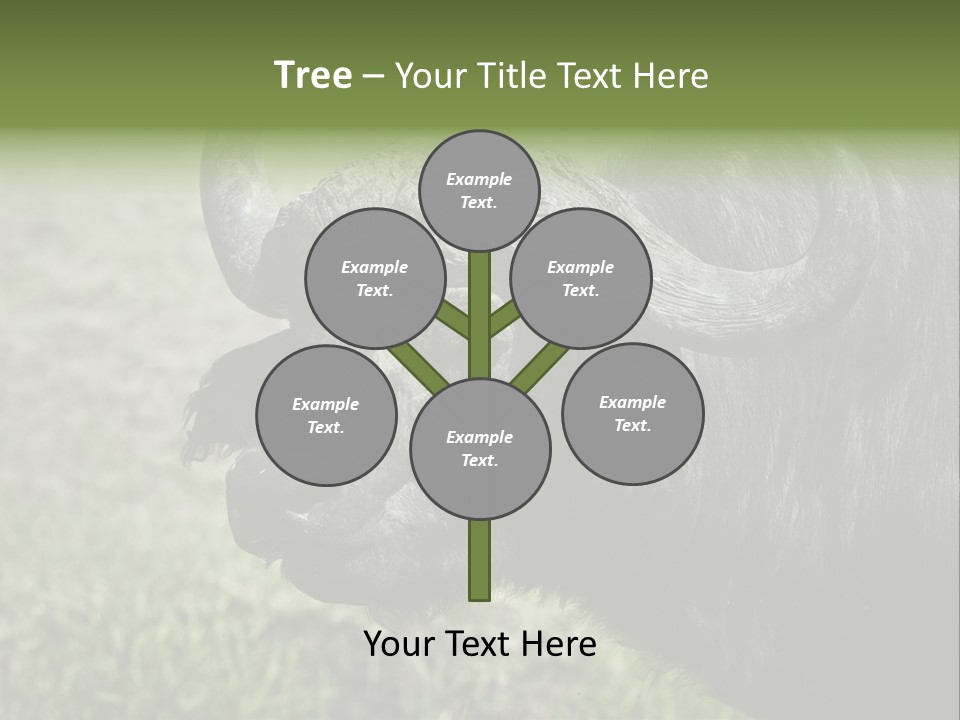 Kenya Selvaggi PowerPoint Template