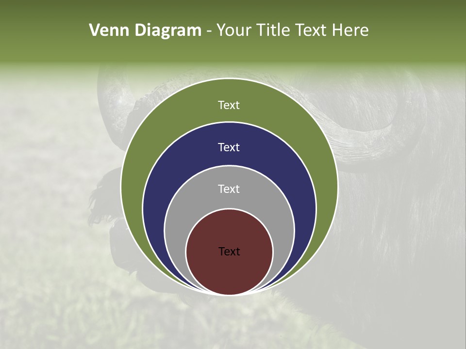 Kenya Selvaggi PowerPoint Template