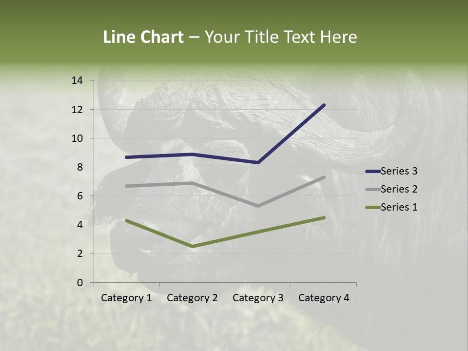 Kenya Selvaggi PowerPoint Template