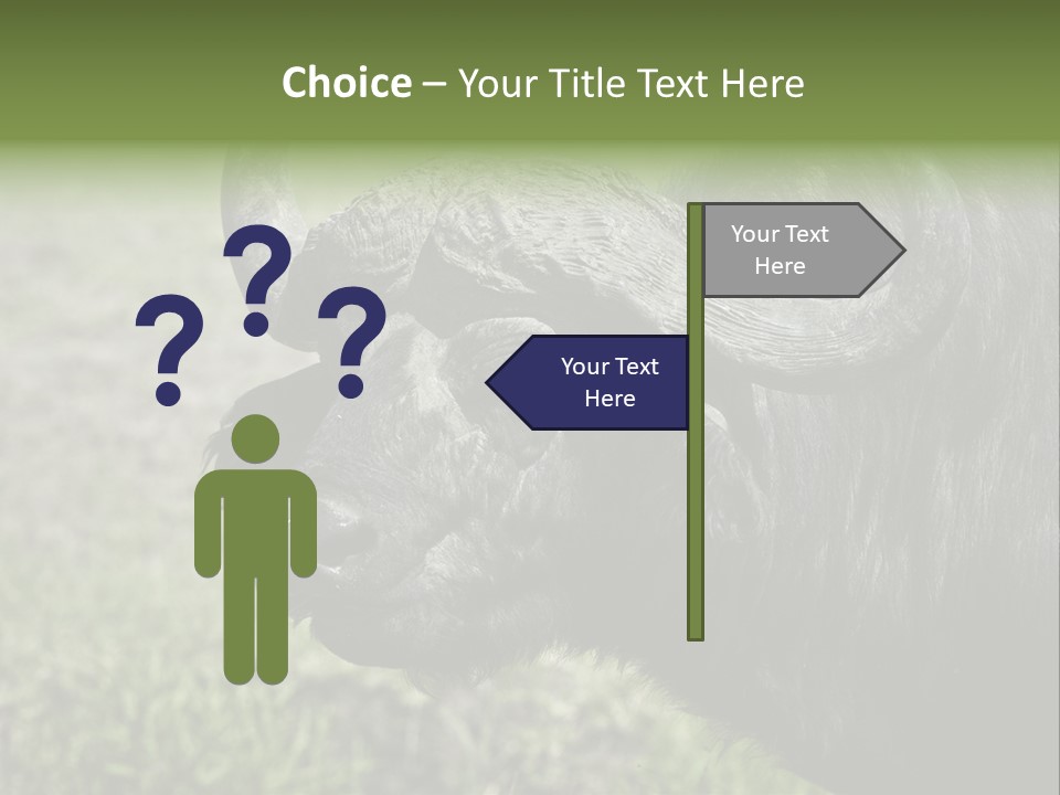 Kenya Selvaggi PowerPoint Template