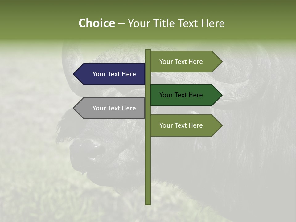 Kenya Selvaggi PowerPoint Template