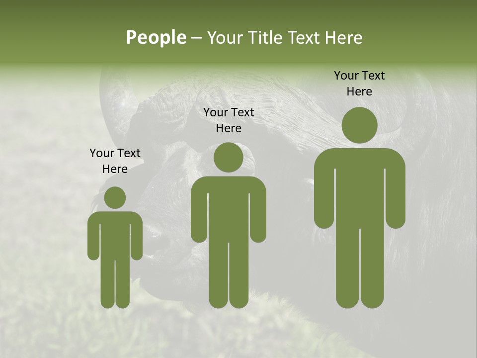 Kenya Selvaggi PowerPoint Template