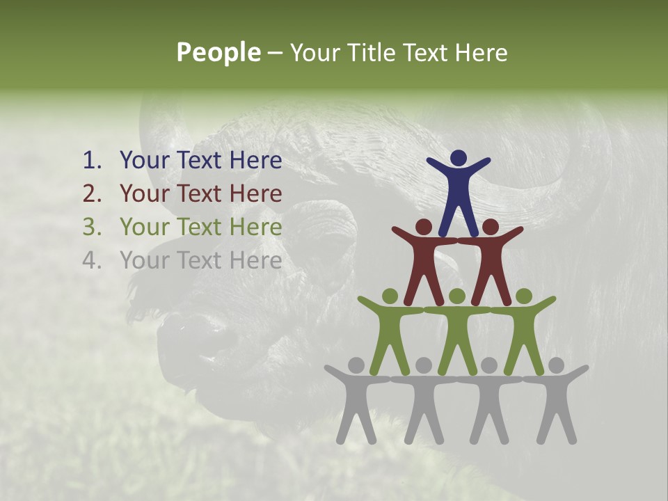 Kenya Selvaggi PowerPoint Template