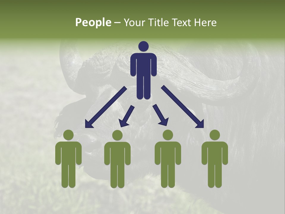 Kenya Selvaggi PowerPoint Template