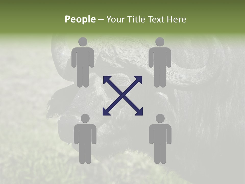 Kenya Selvaggi PowerPoint Template