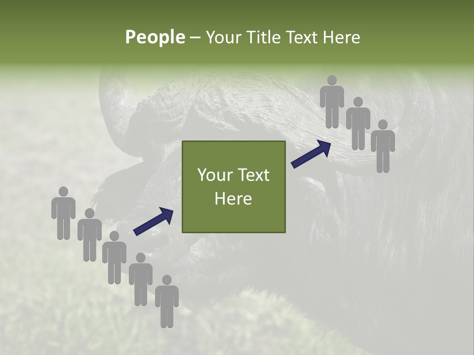 Kenya Selvaggi PowerPoint Template