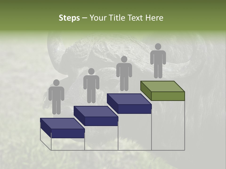 Kenya Selvaggi PowerPoint Template