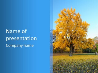 Day Grass Plant PowerPoint Template