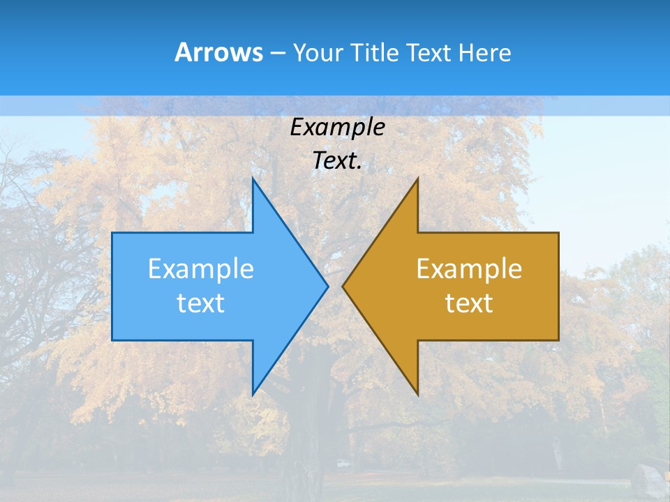 Day Grass Plant PowerPoint Template