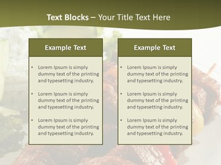 Dressing Tomato Tomatoes PowerPoint Template