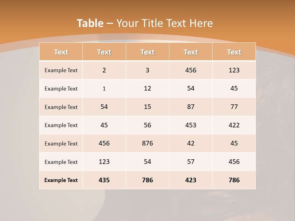 Cheerful Photography Brown Hair PowerPoint Template