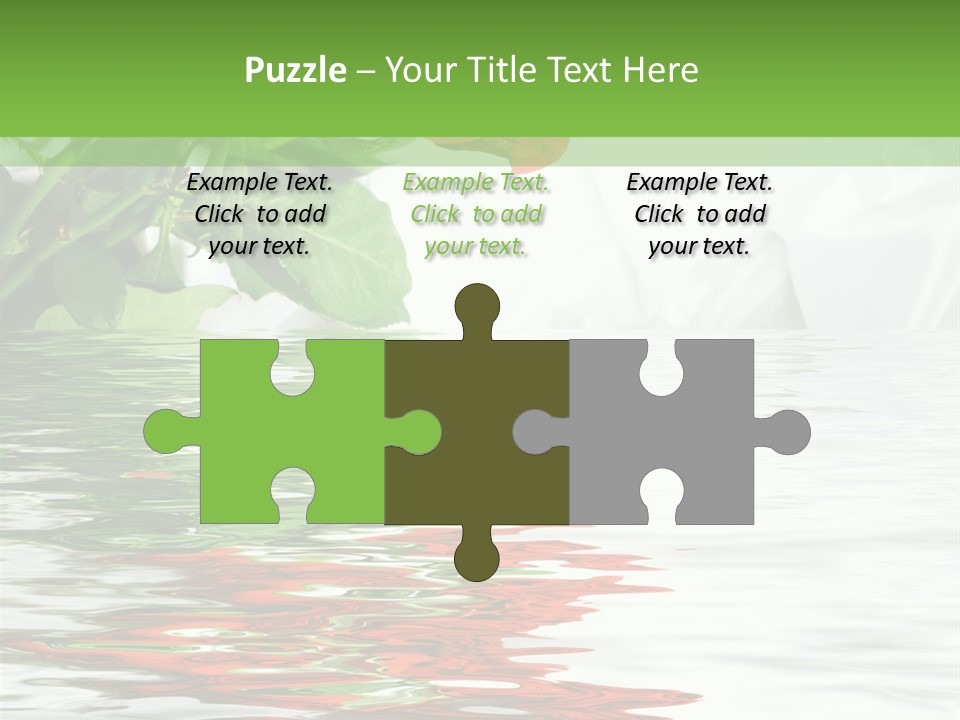 Macro Elegance Glamour PowerPoint Template