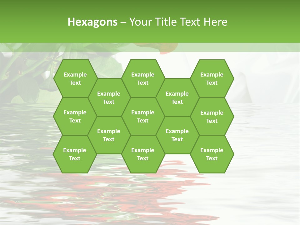 Macro Elegance Glamour PowerPoint Template