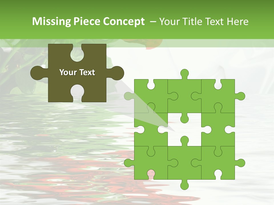 Macro Elegance Glamour PowerPoint Template