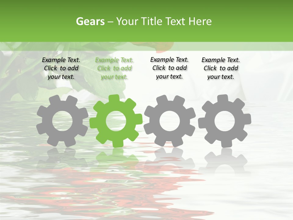 Macro Elegance Glamour PowerPoint Template