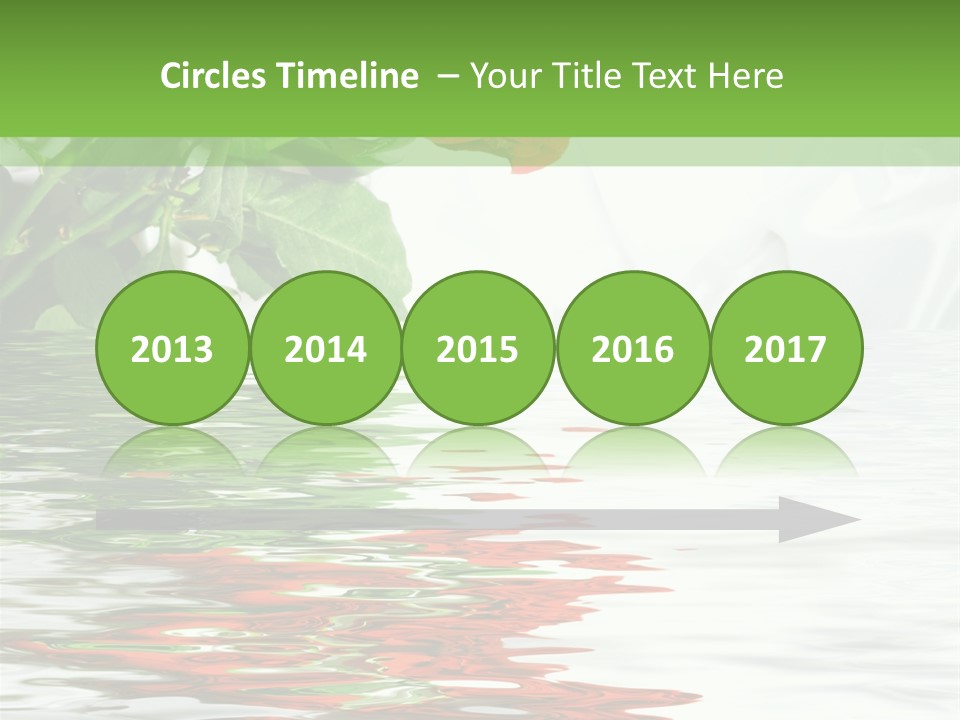 Macro Elegance Glamour PowerPoint Template