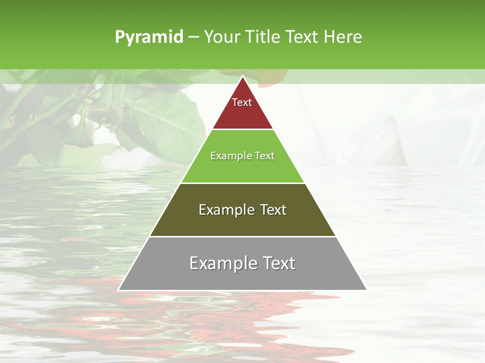 Macro Elegance Glamour PowerPoint Template