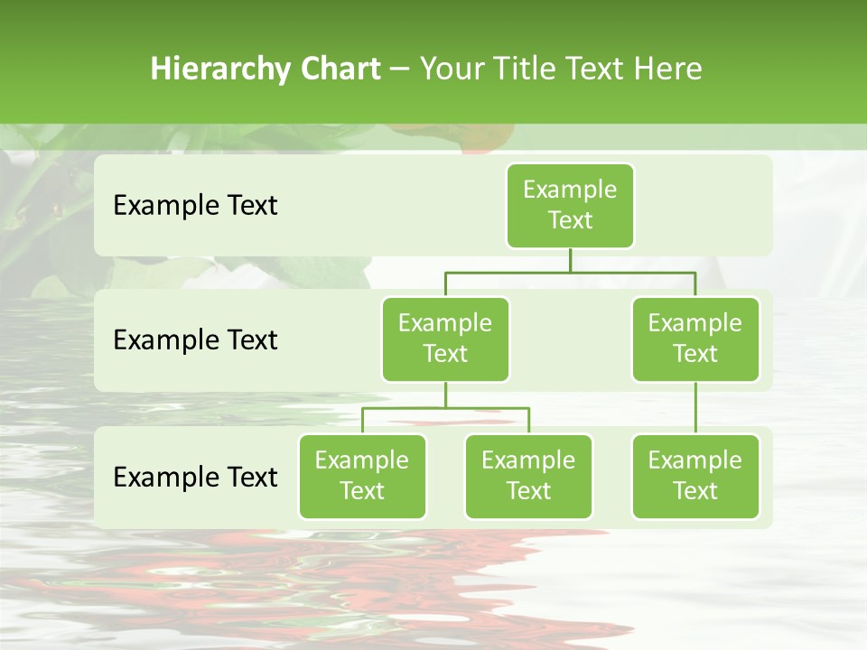 Macro Elegance Glamour PowerPoint Template