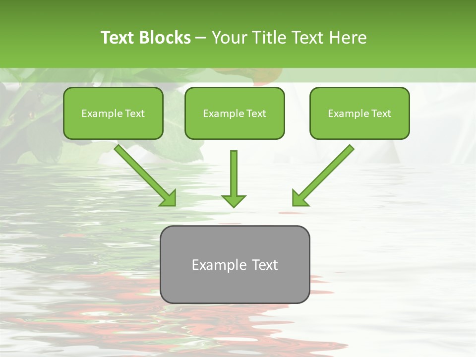 Macro Elegance Glamour PowerPoint Template