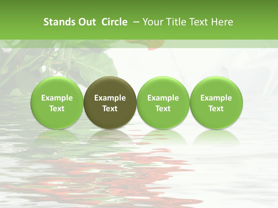 Macro Elegance Glamour PowerPoint Template