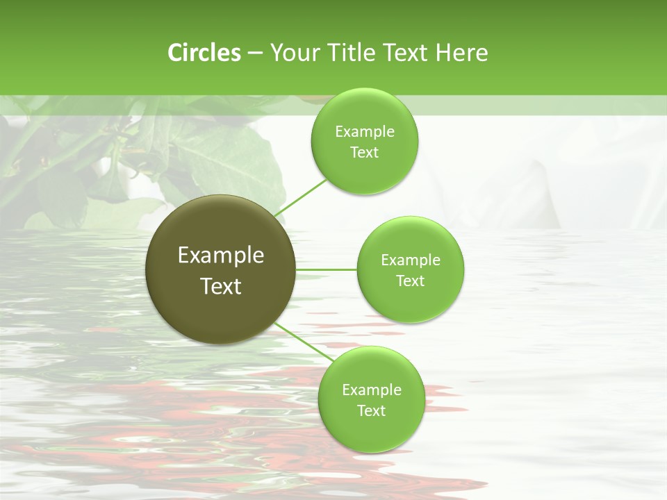 Macro Elegance Glamour PowerPoint Template