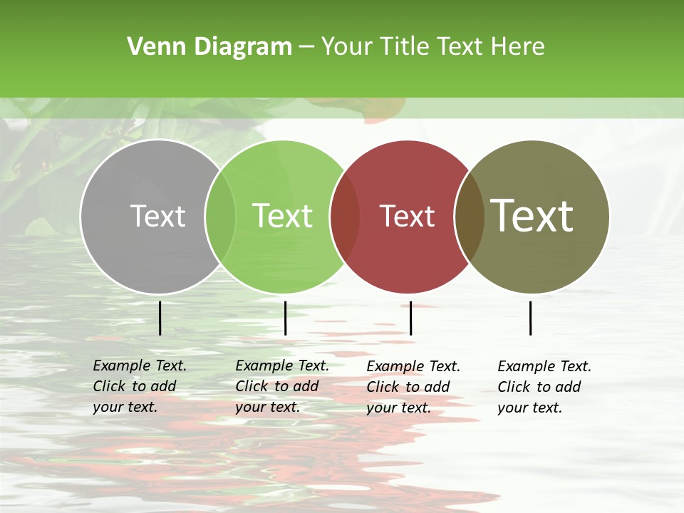 Macro Elegance Glamour PowerPoint Template