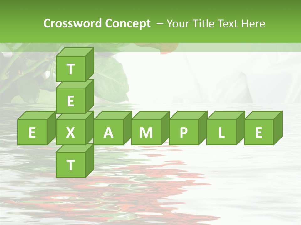 Macro Elegance Glamour PowerPoint Template