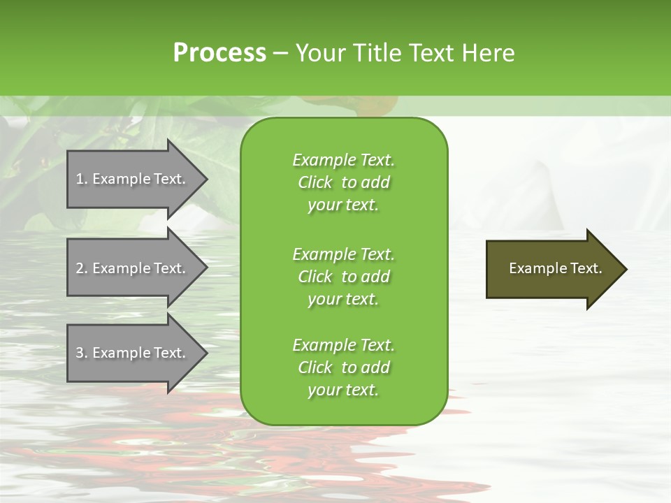 Macro Elegance Glamour PowerPoint Template