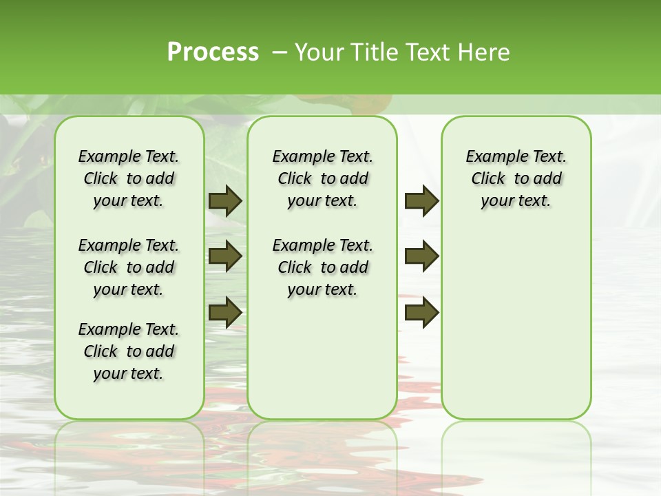 Macro Elegance Glamour PowerPoint Template