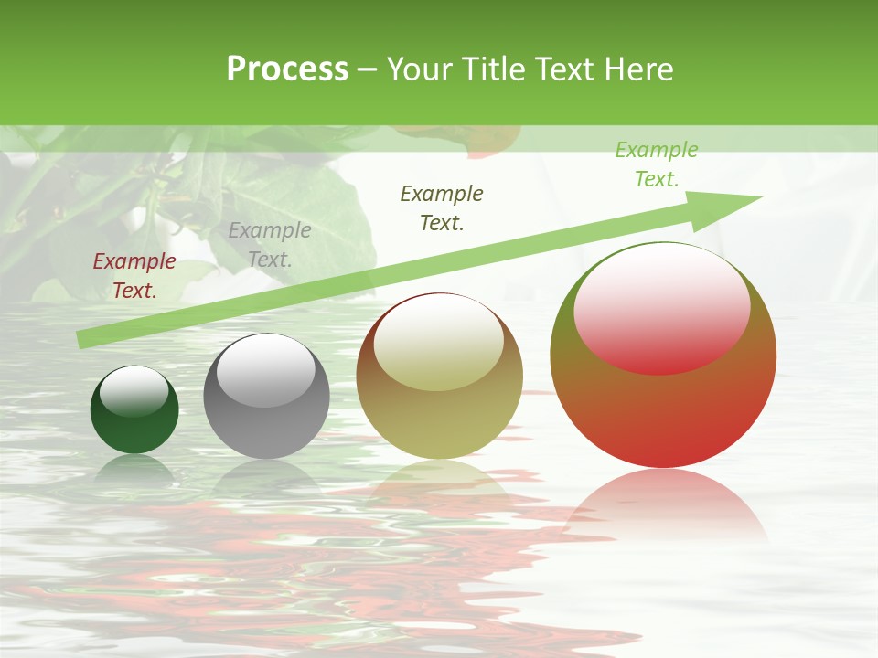 Macro Elegance Glamour PowerPoint Template