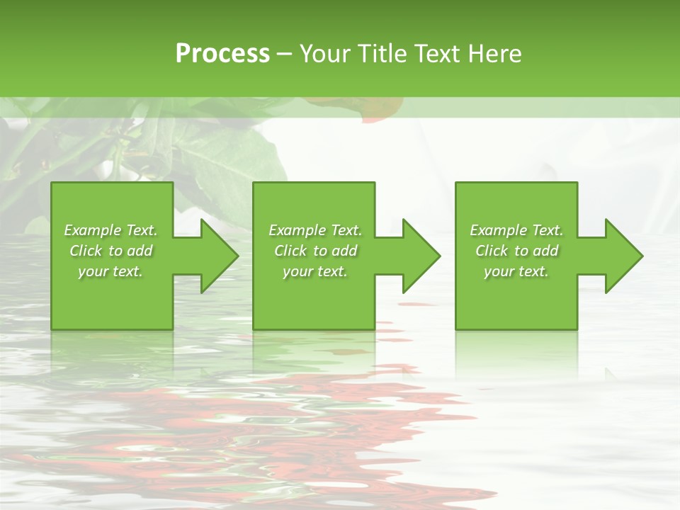 Macro Elegance Glamour PowerPoint Template