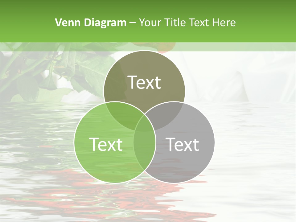 Macro Elegance Glamour PowerPoint Template