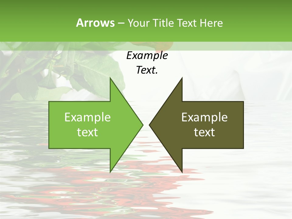 Macro Elegance Glamour PowerPoint Template