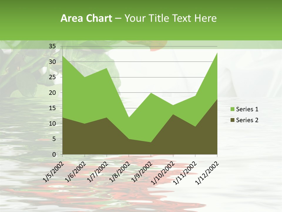 Macro Elegance Glamour PowerPoint Template
