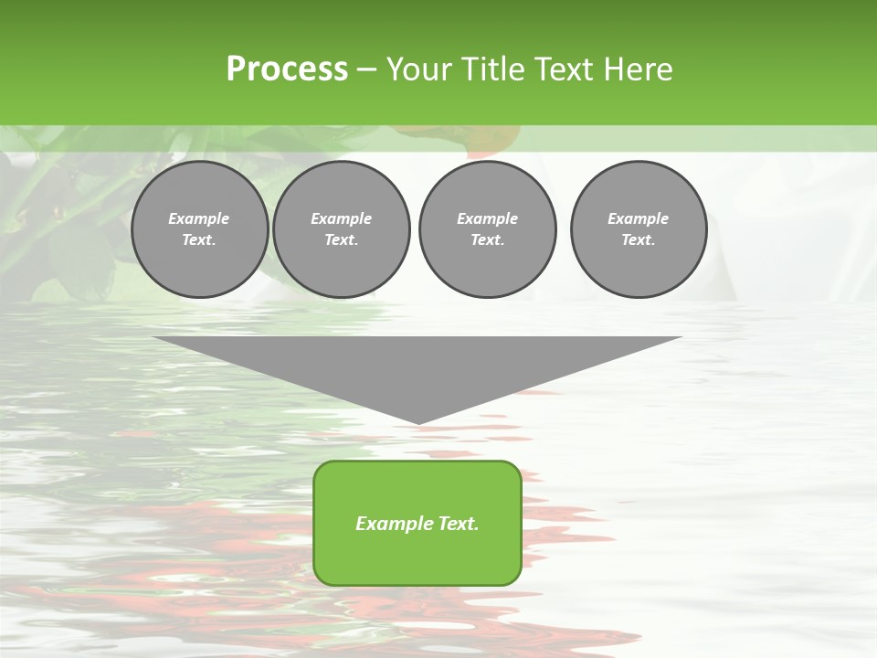 Macro Elegance Glamour PowerPoint Template