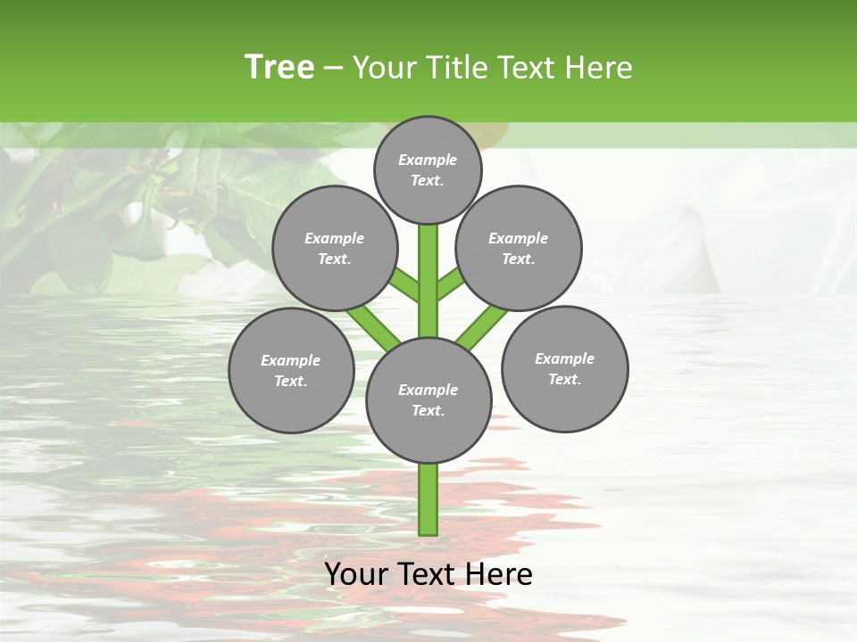 Macro Elegance Glamour PowerPoint Template