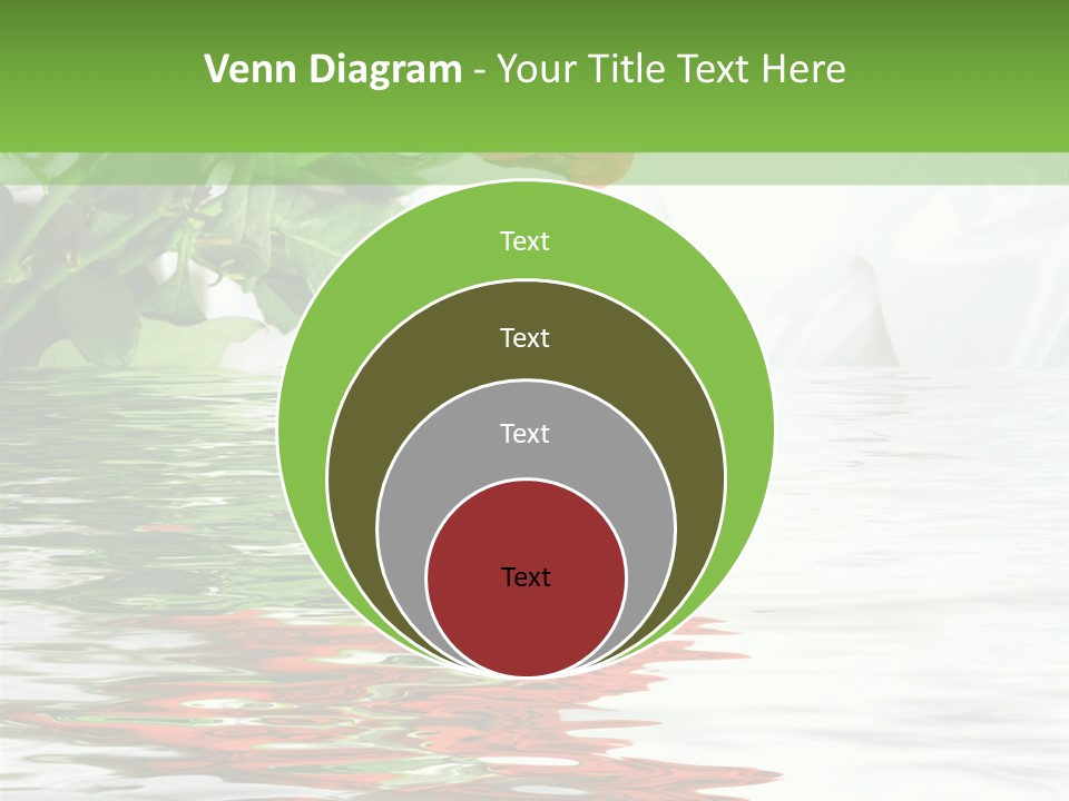 Macro Elegance Glamour PowerPoint Template