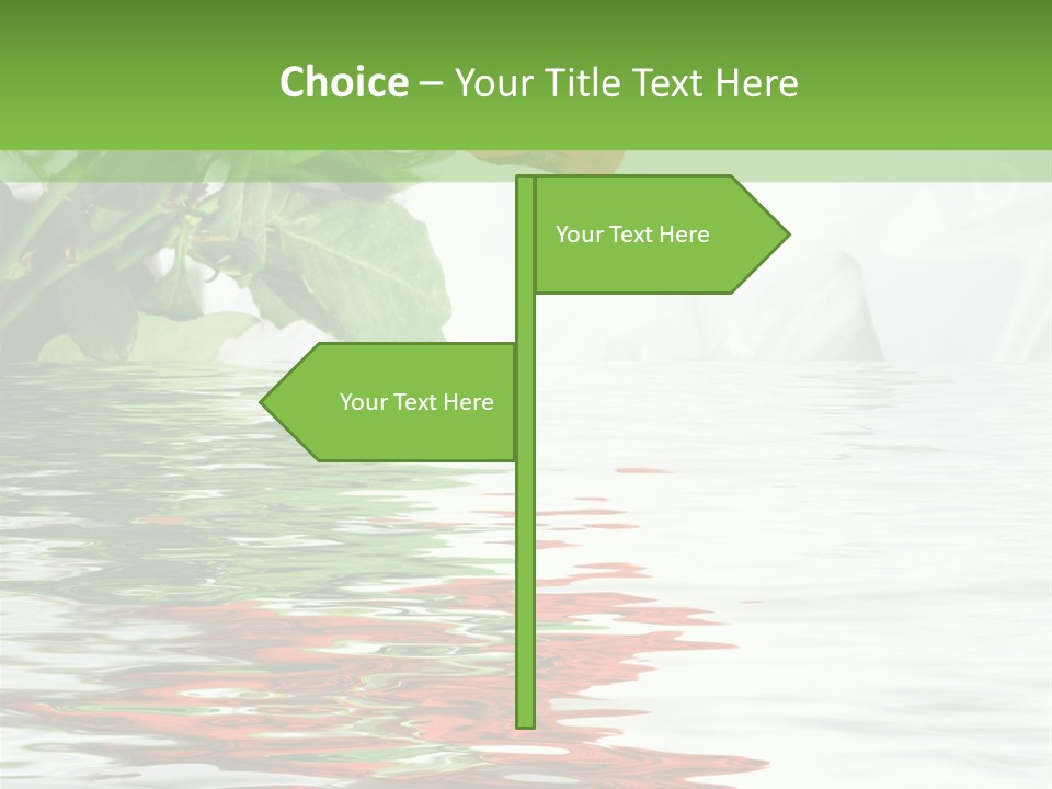 Macro Elegance Glamour PowerPoint Template